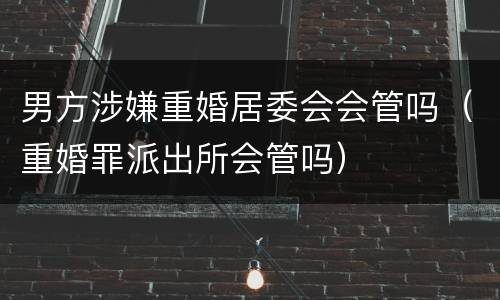男方涉嫌重婚居委会会管吗（重婚罪派出所会管吗）