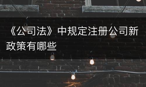 《公司法》中规定注册公司新政策有哪些