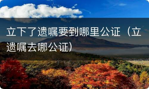 立下了遗嘱要到哪里公证（立遗嘱去哪公证）