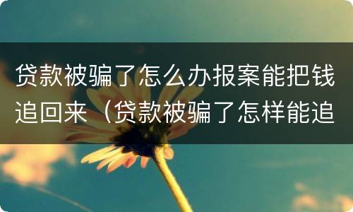 贷款被骗了怎么办报案能把钱追回来（贷款被骗了怎样能追回钱）