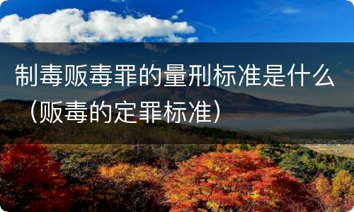 制毒贩毒罪的量刑标准是什么（贩毒的定罪标准）