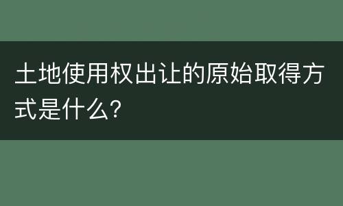 土地使用权出让的原始取得方式是什么？