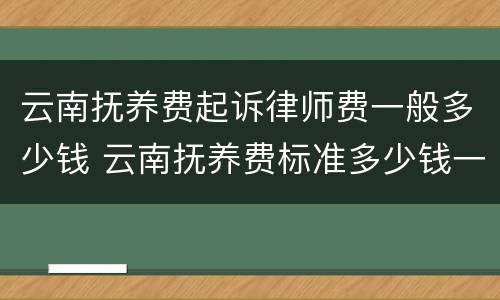 云南抚养费起诉律师费一般多少钱 云南抚养费标准多少钱一个月