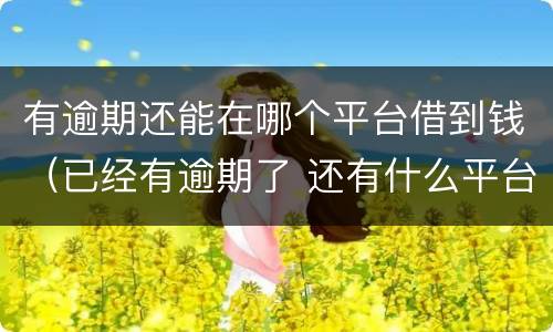 有逾期还能在哪个平台借到钱（已经有逾期了 还有什么平台能借到钱 急用）