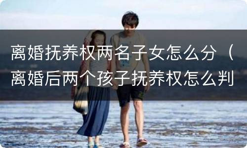 离婚抚养权两名子女怎么分（离婚后两个孩子抚养权怎么判）