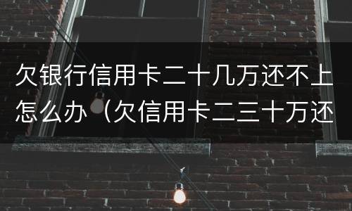 欠银行信用卡二十几万还不上怎么办（欠信用卡二三十万还不起怎么办）