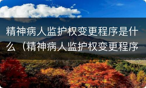 精神病人监护权变更程序是什么（精神病人监护权变更程序是什么样的）