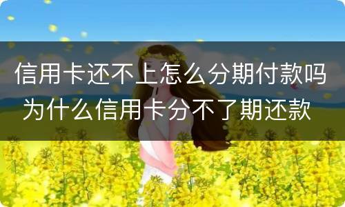 信用卡还不上怎么分期付款吗 为什么信用卡分不了期还款