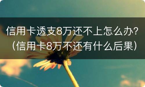 信用卡透支8万还不上怎么办？（信用卡8万不还有什么后果）