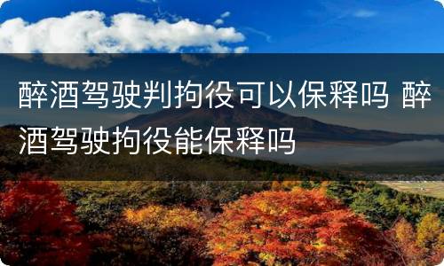 醉酒驾驶判拘役可以保释吗 醉酒驾驶拘役能保释吗