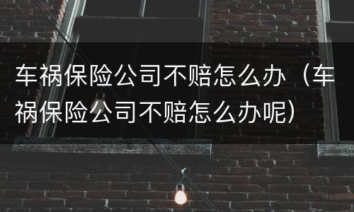 车祸保险公司不赔怎么办（车祸保险公司不赔怎么办呢）