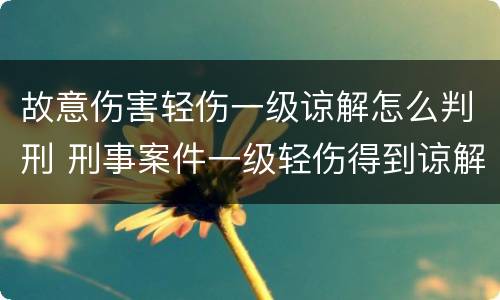 故意伤害轻伤一级谅解怎么判刑 刑事案件一级轻伤得到谅解会怎么判刑