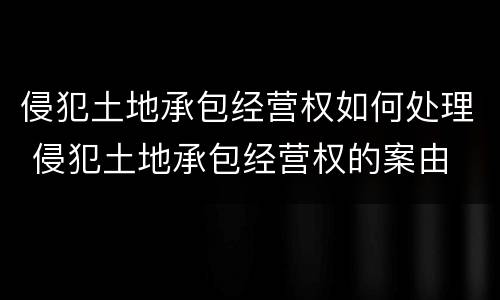 侵犯土地承包经营权如何处理 侵犯土地承包经营权的案由