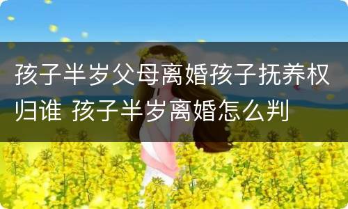 孩子半岁父母离婚孩子抚养权归谁 孩子半岁离婚怎么判