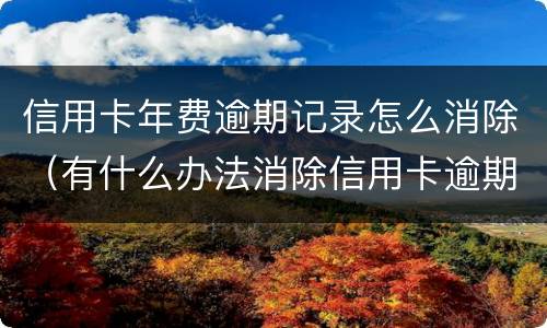 信用卡年费逾期记录怎么消除（有什么办法消除信用卡逾期记录）