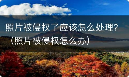 照片被侵权了应该怎么处理？（照片被侵权怎么办）