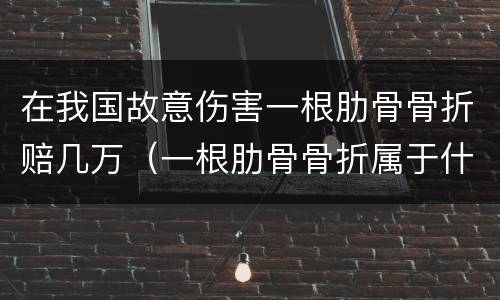 在我国故意伤害一根肋骨骨折赔几万（一根肋骨骨折属于什么伤害,能赔偿多少钱）