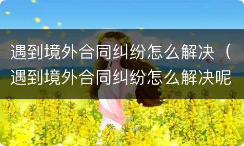 遇到境外合同纠纷怎么解决（遇到境外合同纠纷怎么解决呢）
