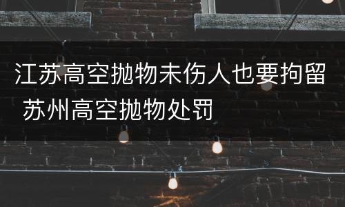 江苏高空抛物未伤人也要拘留 苏州高空抛物处罚