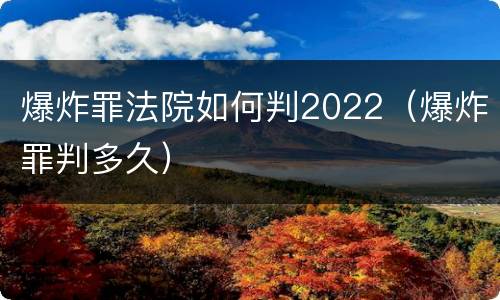 爆炸罪法院如何判2022（爆炸罪判多久）