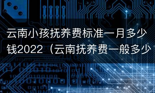 云南小孩抚养费标准一月多少钱2022（云南抚养费一般多少）