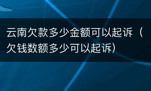 云南欠款多少金额可以起诉（欠钱数额多少可以起诉）