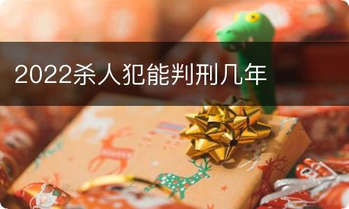 2022杀人犯能判刑几年