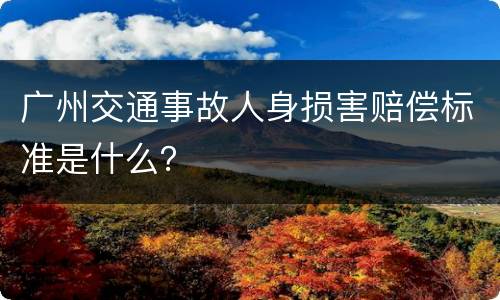 广州交通事故人身损害赔偿标准是什么？