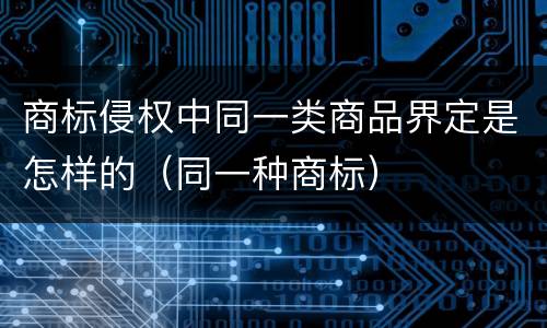商标侵权中同一类商品界定是怎样的（同一种商标）