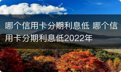 哪个信用卡分期利息低 哪个信用卡分期利息低2022年