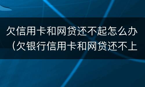 欠信用卡和网贷还不起怎么办（欠银行信用卡和网贷还不上怎么办）