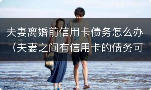 夫妻离婚前信用卡债务怎么办（夫妻之间有信用卡的债务可以离婚吗）