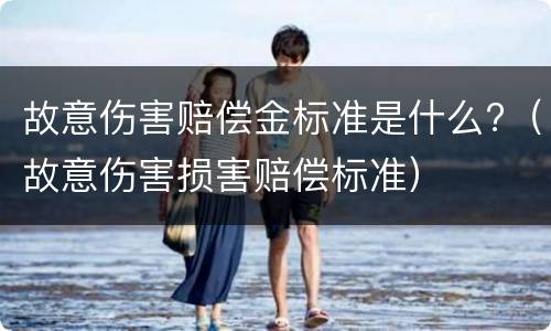 故意伤害赔偿金标准是什么?（故意伤害损害赔偿标准）