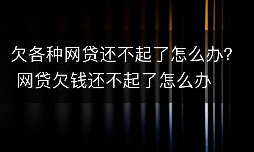 欠各种网贷还不起了怎么办？ 网贷欠钱还不起了怎么办