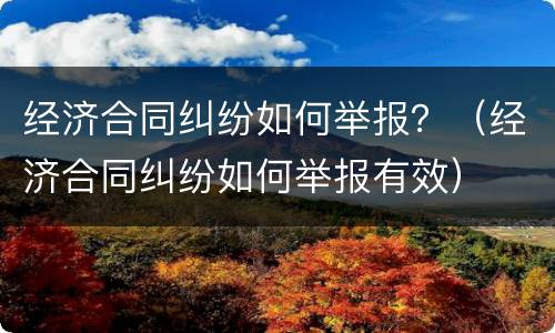 经济合同纠纷如何举报？（经济合同纠纷如何举报有效）