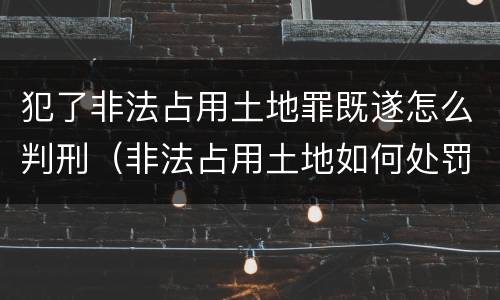 犯了非法占用土地罪既遂怎么判刑（非法占用土地如何处罚）