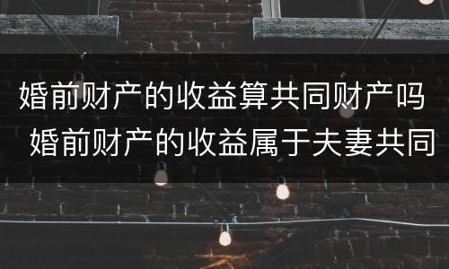 婚前财产的收益算共同财产吗 婚前财产的收益属于夫妻共同财产吗