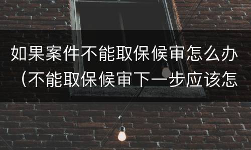 如果案件不能取保候审怎么办（不能取保候审下一步应该怎么办）