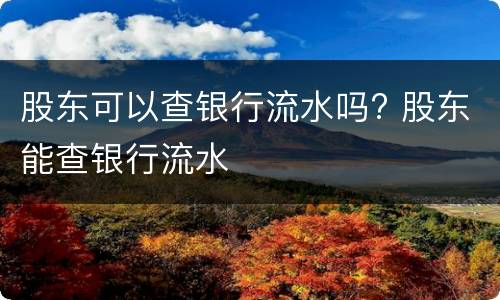 股东可以查银行流水吗? 股东能查银行流水