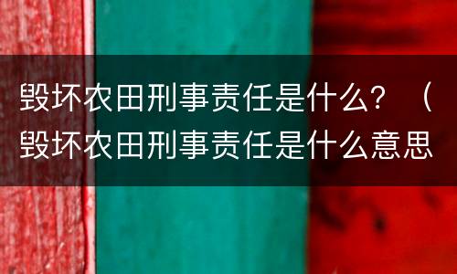 毁坏农田刑事责任是什么？（毁坏农田刑事责任是什么意思）