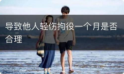 导致他人轻伤拘役一个月是否合理