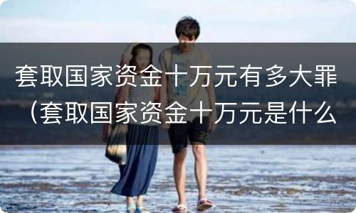 套取国家资金十万元有多大罪（套取国家资金十万元是什么罪）