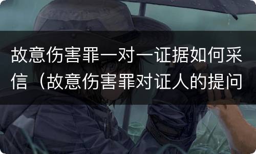 故意伤害罪一对一证据如何采信（故意伤害罪对证人的提问）