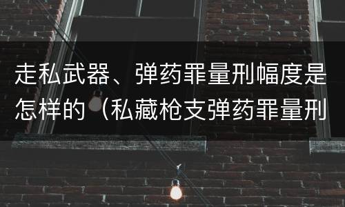 走私武器、弹药罪量刑幅度是怎样的（私藏枪支弹药罪量刑）