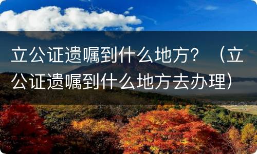 立公证遗嘱到什么地方？（立公证遗嘱到什么地方去办理）