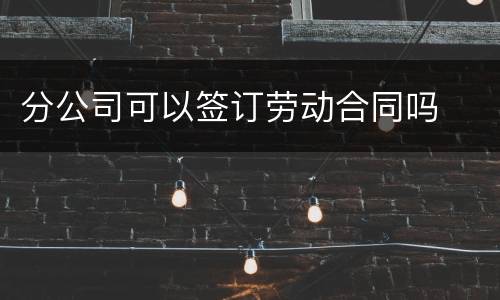 分公司可以签订劳动合同吗
