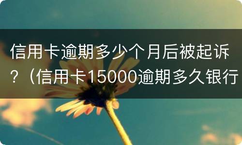 信用卡逾期多少个月后被起诉?（信用卡15000逾期多久银行起诉）