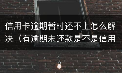 信用卡逾期暂时还不上怎么解决（有逾期未还款是不是信用卡办不了）