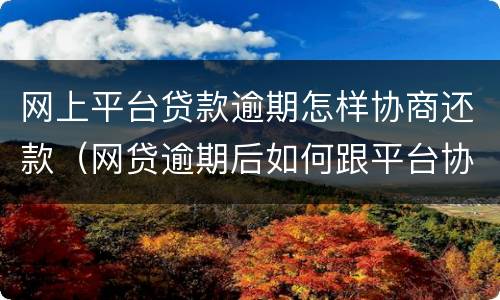 网上平台贷款逾期怎样协商还款（网贷逾期后如何跟平台协商还款）