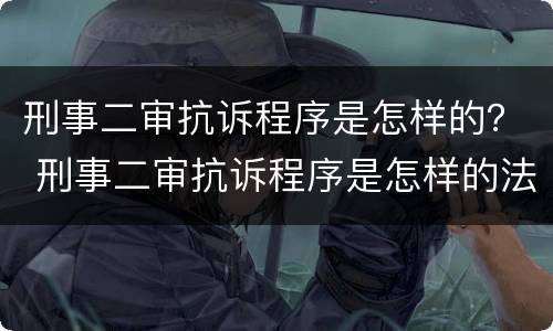 刑事二审抗诉程序是怎样的？ 刑事二审抗诉程序是怎样的法律